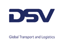 TDL23_Logo_DSV.png